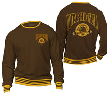 Load image into Gallery viewer, University | Iota Phi Theta Sweatshirt | Sweater Iota Phi Theta