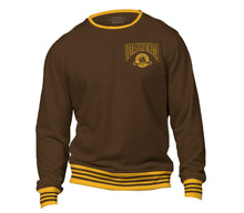 Load image into Gallery viewer, University | Iota Phi Theta Sweatshirt | Sweater Iota Phi Theta