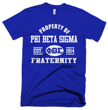 Load image into Gallery viewer, Phi Beta Sigma Property of Tee Sigma