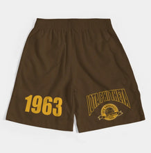 Load image into Gallery viewer, Iota Phi Theta University Shorts Iota Phi Theta
