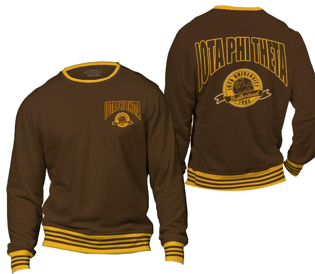 University |  Iota Phi Theta Sweatshirt | Sweater